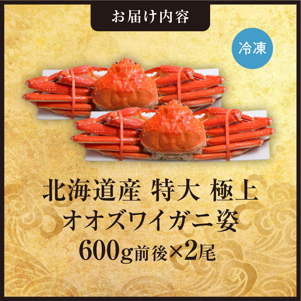 北海道産特大極上オオズワイガニ姿　600g前後×2尾セット