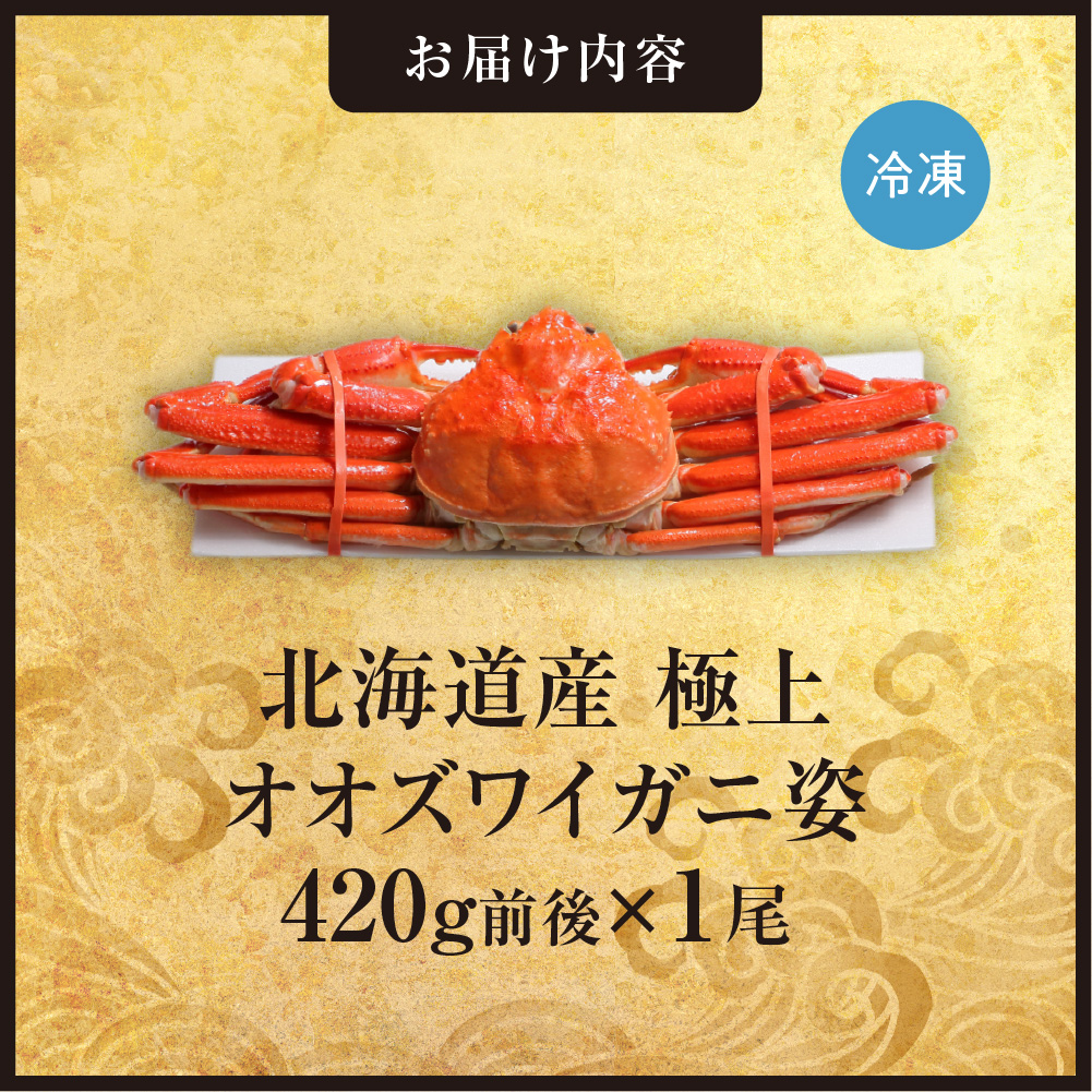 北海道産極上オオズワイガニ姿　420g前後×1尾