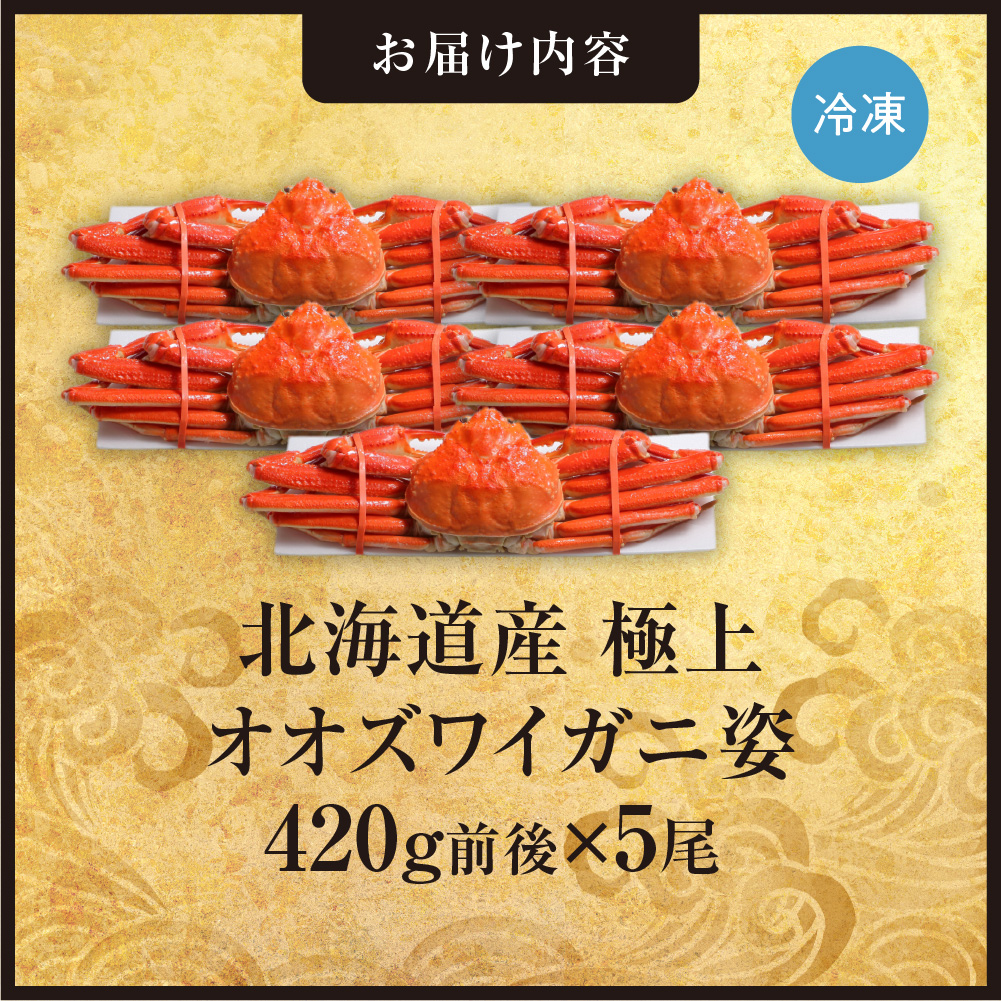 北海道産極上オオズワイガニ姿　420g前後×5尾セット