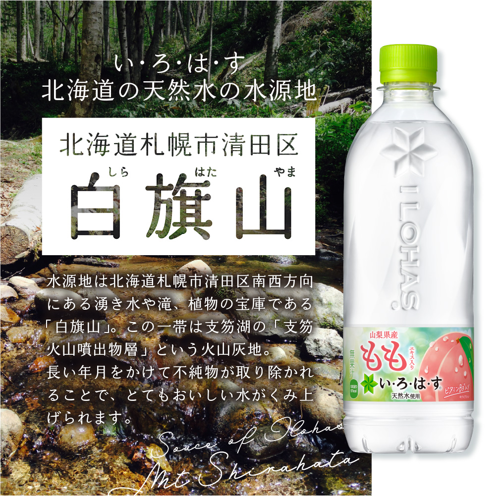 【３ヶ月定期便】い・ろ・は・す もも　540mlPET×24本｜コカ・コーラ 飲料 ドリンク 飲み物 水 北海道 札幌市