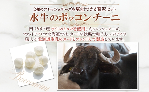 水牛と乳牛のボッコンチーニ食べ比べセット ｜ ファットリアビオ北海道 モッツアレラチーズ 北海道 札幌市