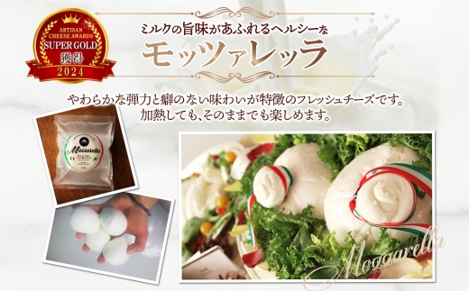 ファットリアビオ タイプ別お試し3種セット ｜ ファットリアビオ北海道 モッツァレラ カチョカヴァッロ グラナディエゾ チーズ 食べ比べ 北海道 札幌市