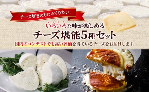 ファットリアビオ 堪能5種セット ｜ ファットリアビオ北海道 チーズ 食べ比べ 北海道 札幌市