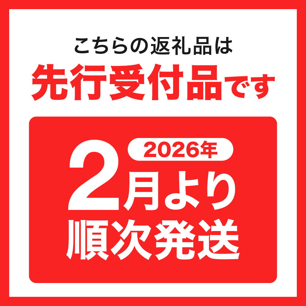 951アイスクリーム　バルクアイス2L×１個（つぶつぶいちご）｜本格派 アイス ミルク 北海道 札幌市