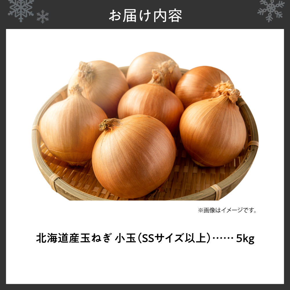 玉ねぎ 北海道産 小玉 5kg SSサイズ以上 | たまねぎ 野菜 北海道 札幌市