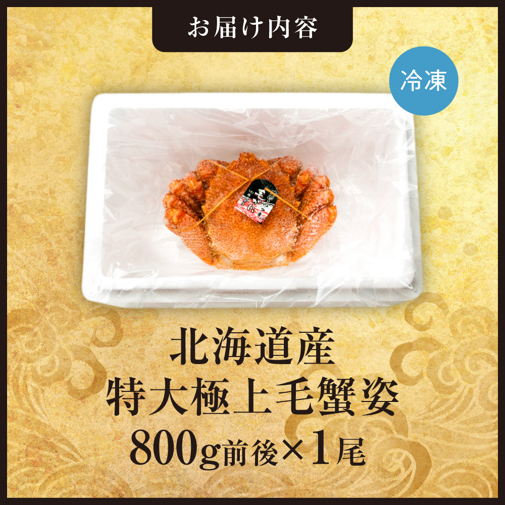 特大極上毛蟹姿　800g前後×1尾
