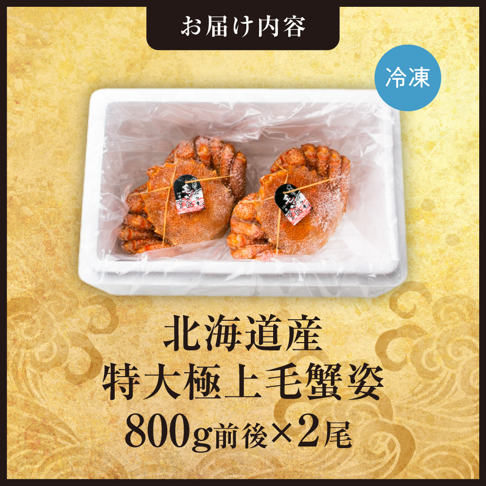 特大極上毛蟹姿　800g前後×2尾セット