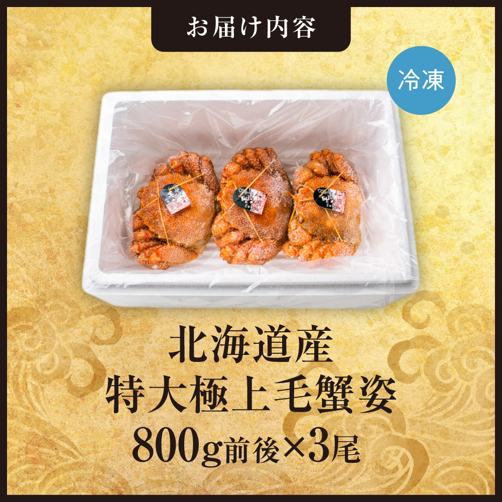 特大極上毛蟹姿　800g前後×3尾セット