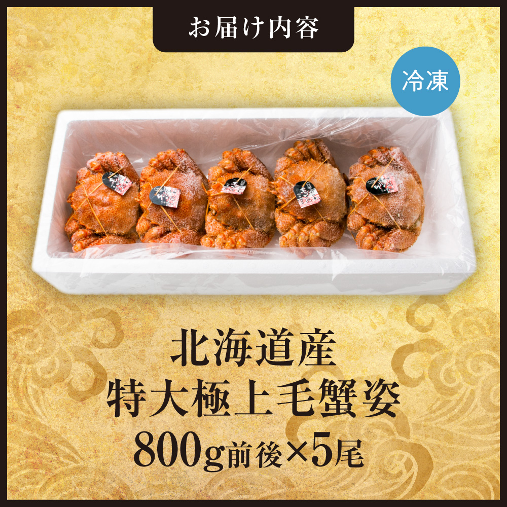 特大極上毛蟹姿　800g前後×5尾セット