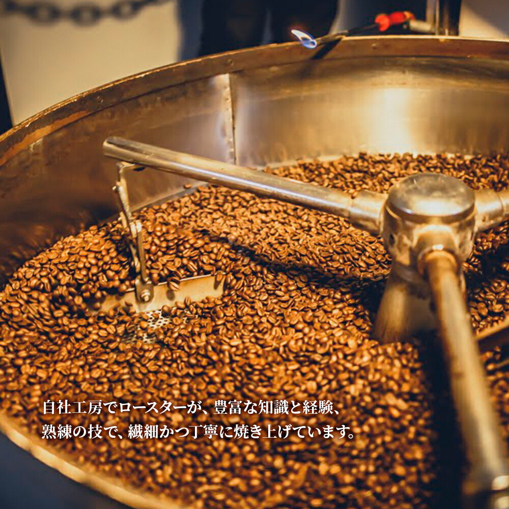 森彦 スタンダードコーヒー3種×ドリップバッグセット