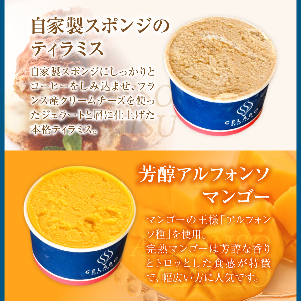 定番のおすすめジェラート6個セット