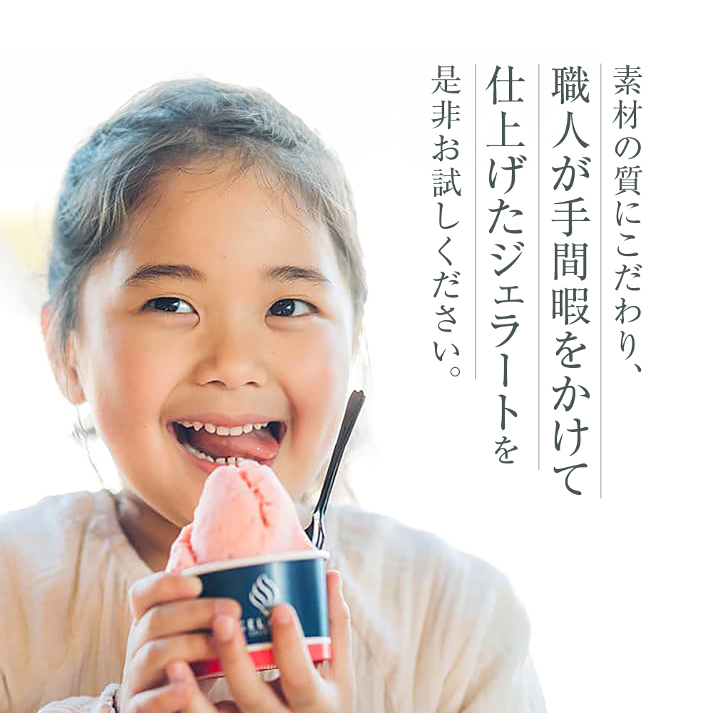 定番のおすすめジェラート8個セット