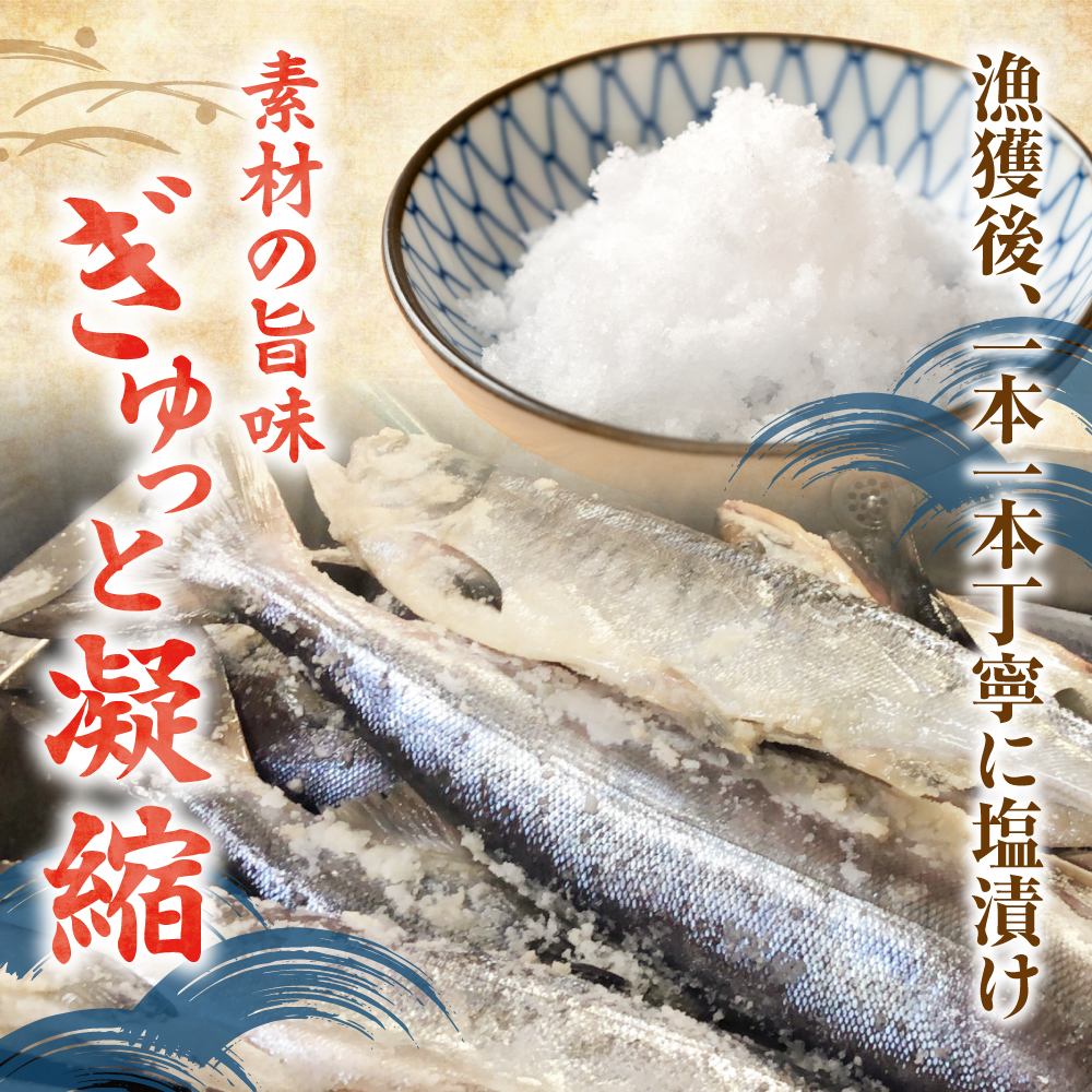 新巻鮭 切身真空加工 1本2kg前後