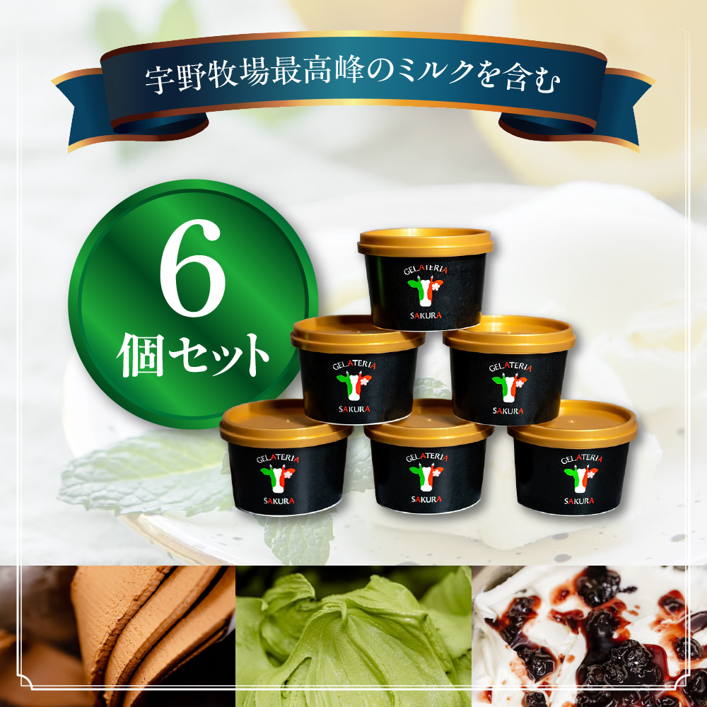 幸せな牛のミルクからできたジェラート パティシエおまかせ6個セット