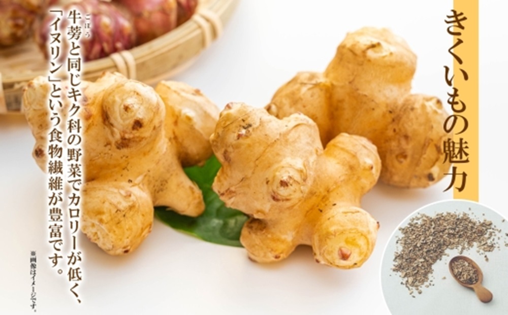 きくいも茶　ティーバッグ　2.3g×20包