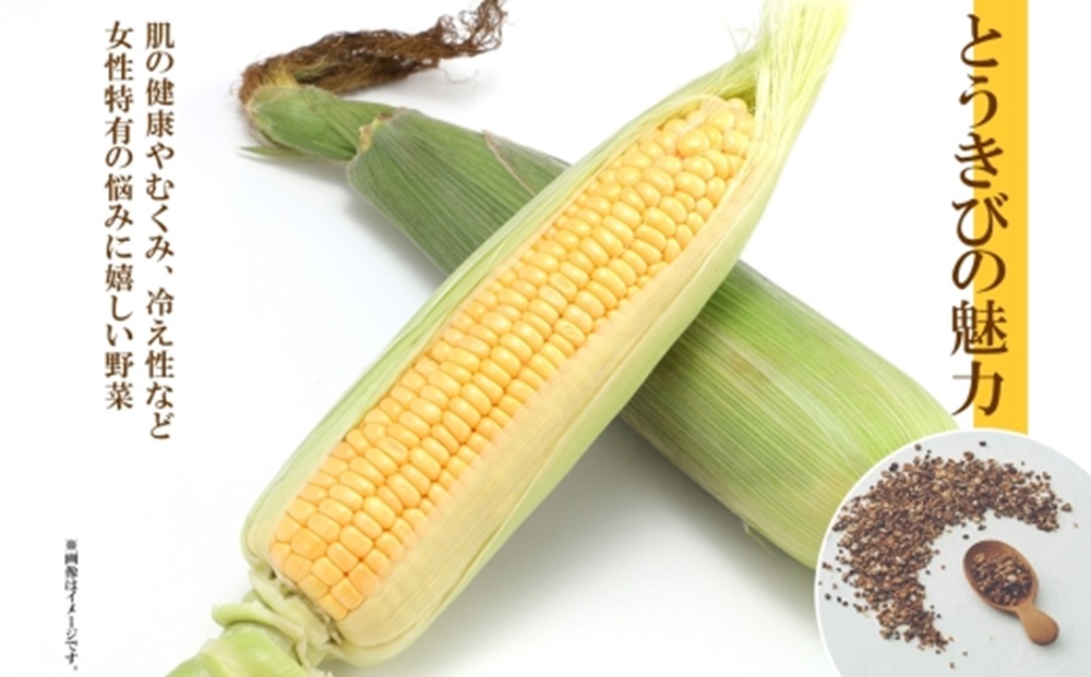 とうきび茶　ティーバッグ　2.2g×20包