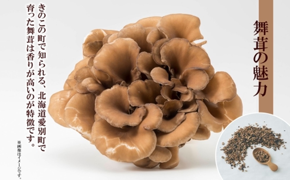 まいたけ茶　ティーバッグ　1.8g×20包