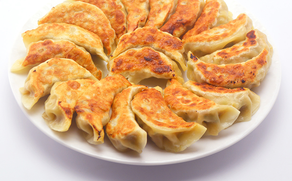 【点心札幌】餃子館の餃子１２個入り×４パック