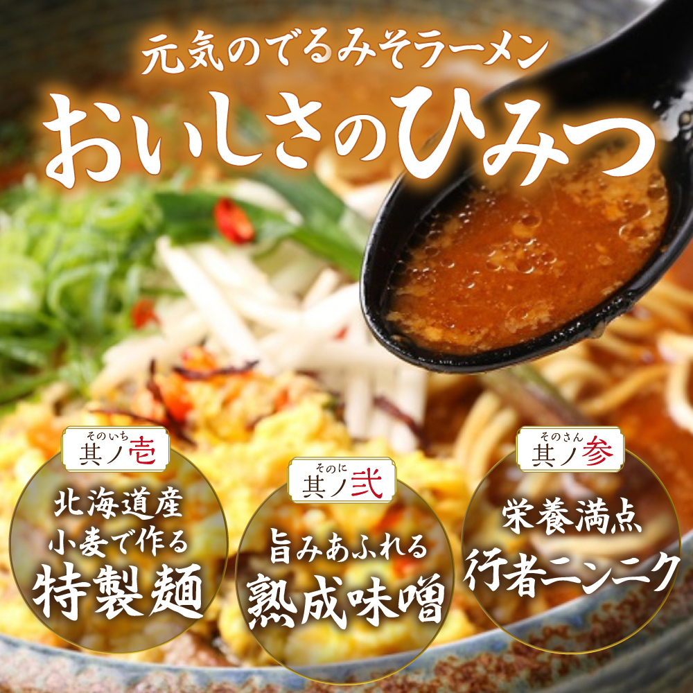 【5ヶ月定期便】ラーメン札幌一粒庵：元気のでるみそラーメン（ピリ辛味）生麺4食×5 回