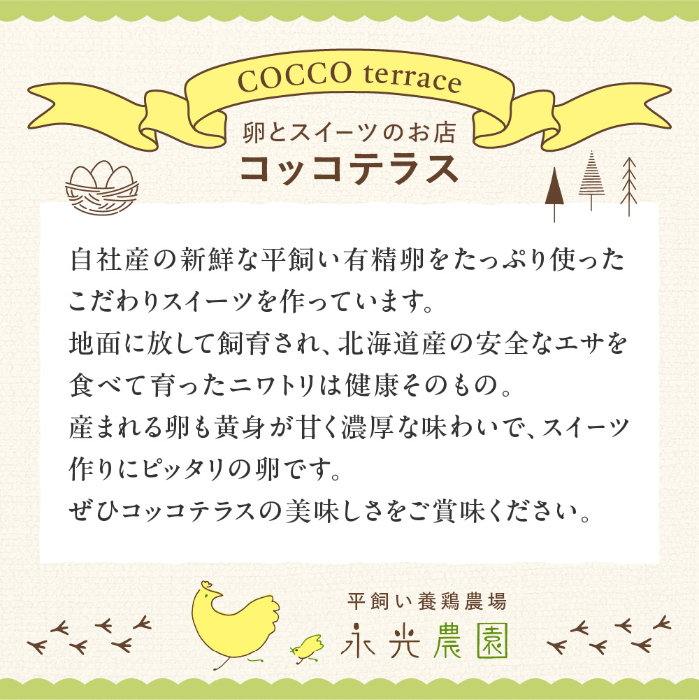 北海道産生クリームと新鮮有精卵を使用！スイーツセット