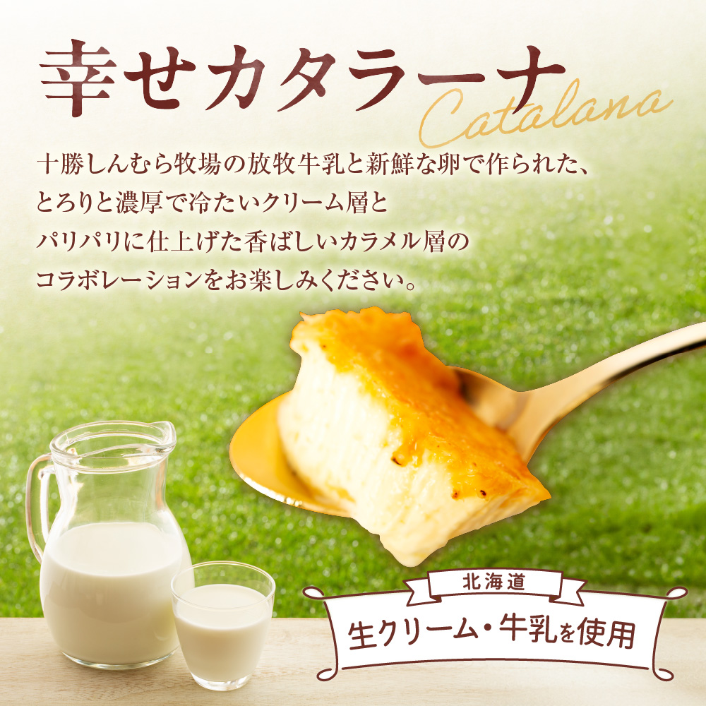 幸せカタラーナS×2