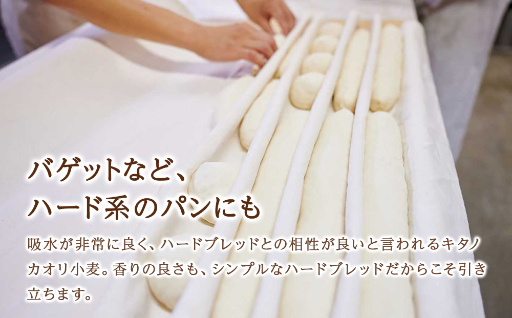 キタノカオリブレンド 1kg（250g×4）