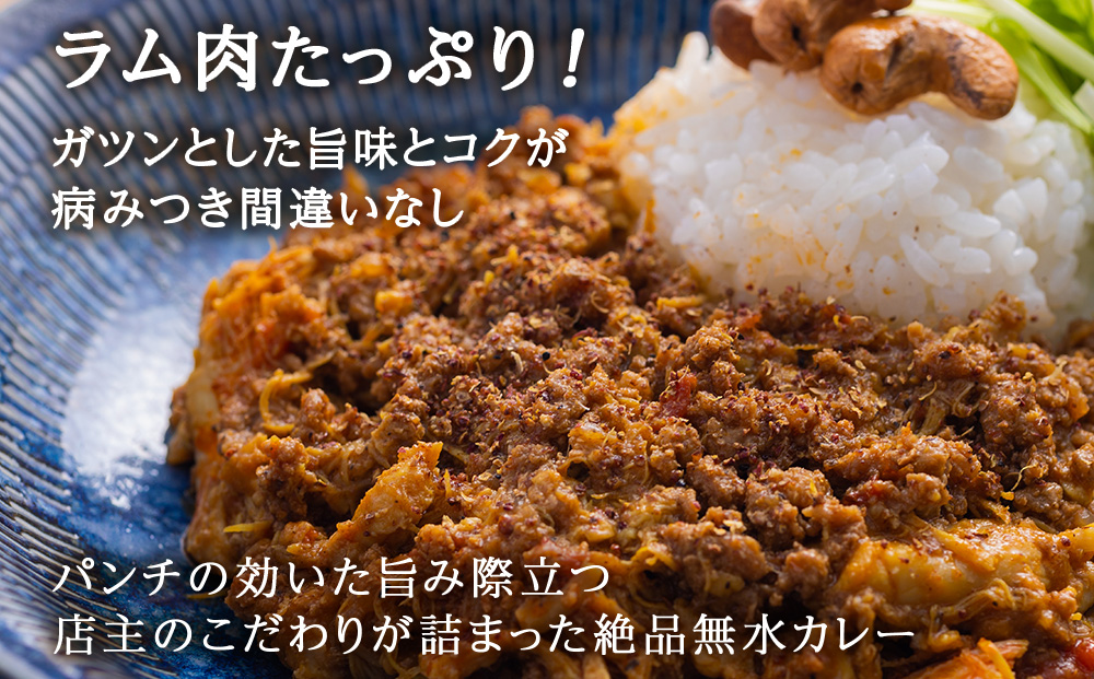 175DENOスパイスラムカレー 10袋（無水カレー180g×10）