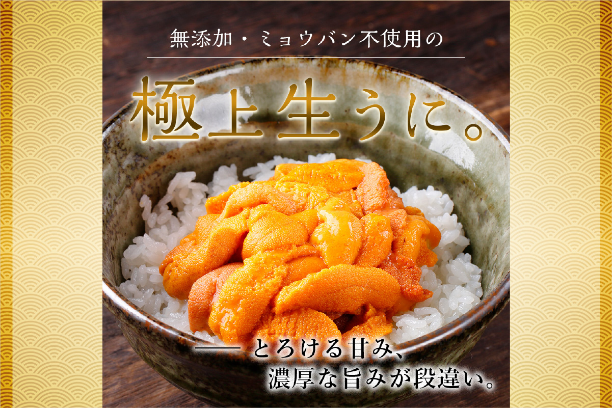 【先行予約】《北海道産》バフンウニ 塩水 100g＜札幌カネシン水産＞ | ウニ丼 無添加 北海道 札幌市