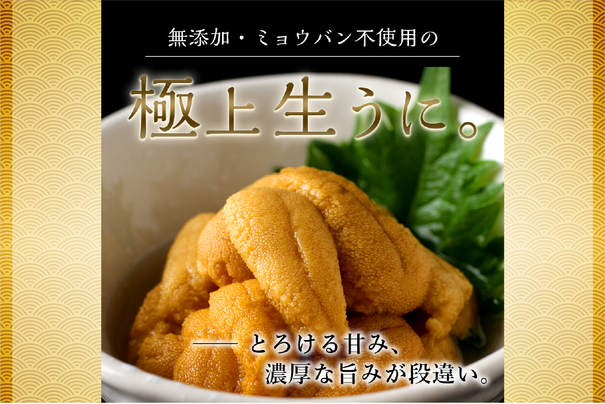 【先行予約】《北海道産》ムラサキウニ 塩水 100g ×4パック＜札幌カネシン水産＞ | ウニ丼 無添加 北海道 札幌市