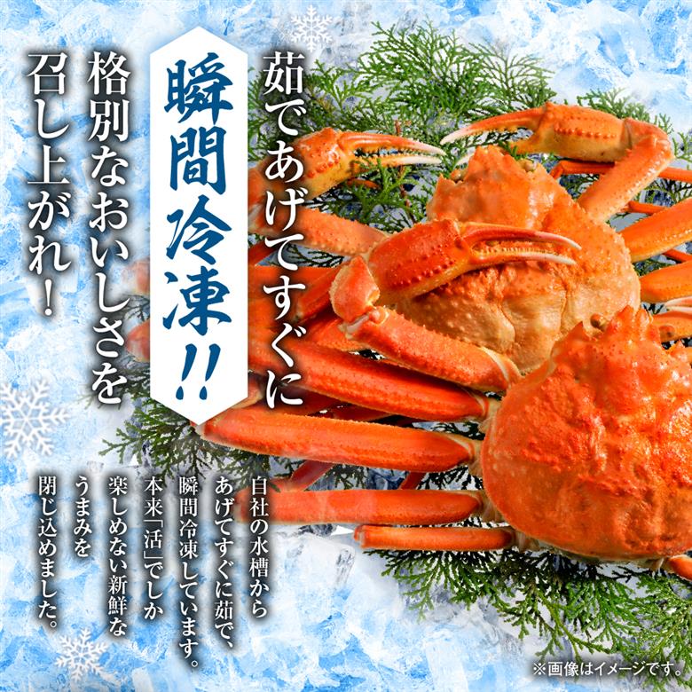 茹でたてズワイガニ姿(瞬間冷凍)650g×2尾