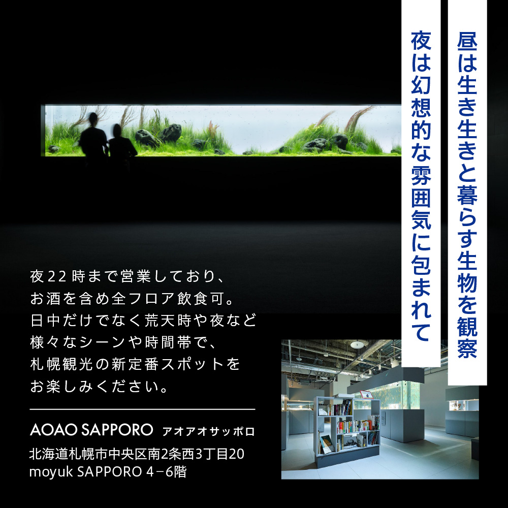 AOAO SAPPORO 入館券