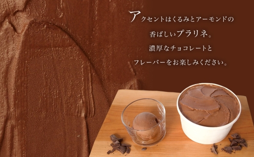 ジェラート ショコラ 500ml×2個