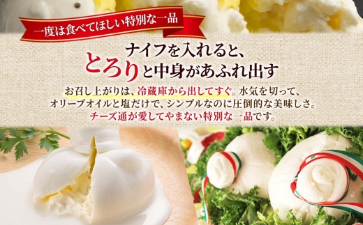 ブッラータ 125g×2｜ファットリアビオ北海道 ブッラータチーズ 北海道 札幌市