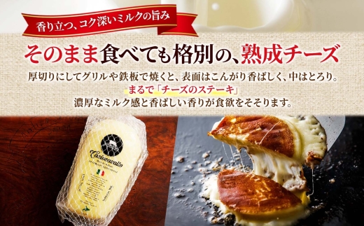 カチョカヴァッロ 500g×2｜ファットリアビオ北海道 カチョカヴァッロ 北海道 札幌市