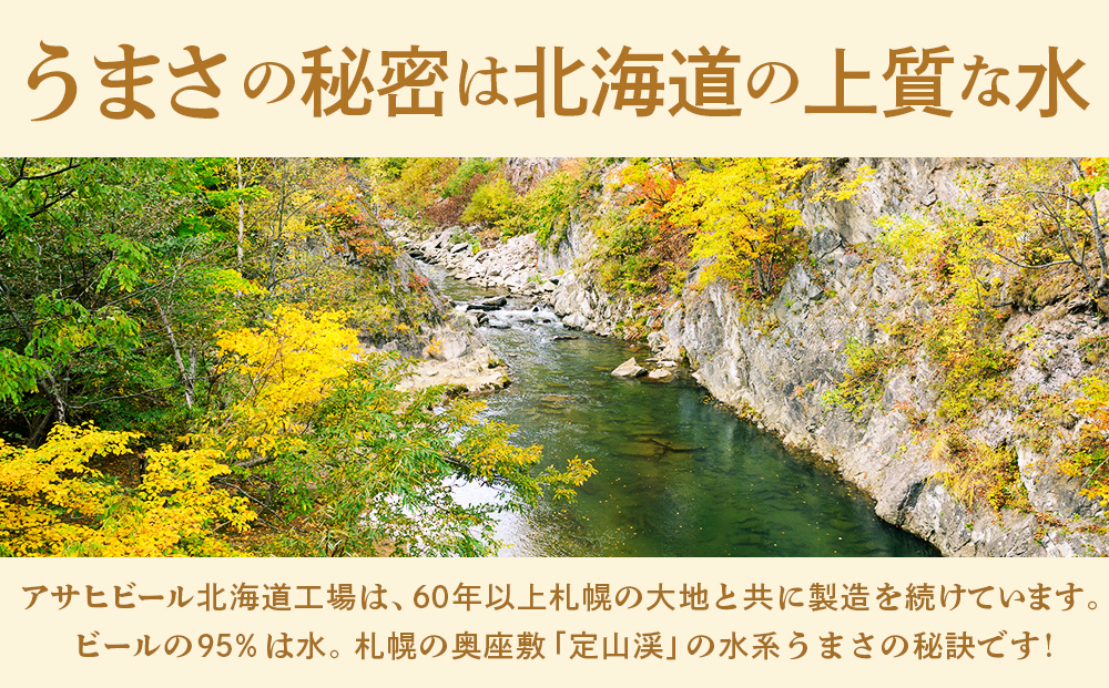 アサヒ生ビール≪マルエフ≫＜350ml＞24缶 2ケース 北海道工場製造