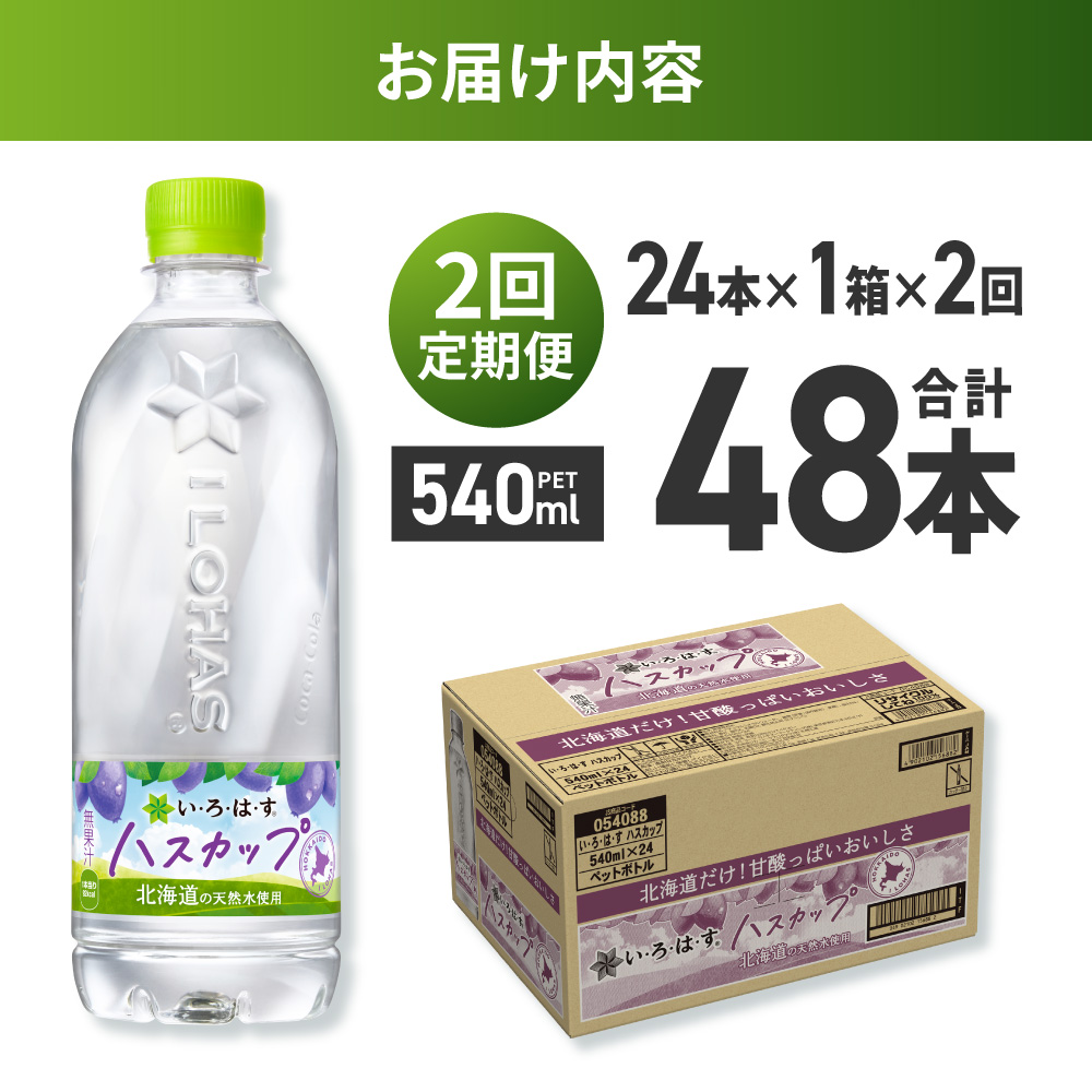 【２ヶ月定期便】い・ろ・は・す ハスカップ　540mlPET×24本｜コカ・コーラ 飲料 ドリンク 飲み物 水 北海道 札幌市