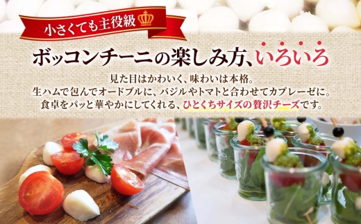 モッツァレラ （ボッコンチーニ6玉）140g×2 ｜ ファットリアビオ北海道 モッツアレラチーズ 北海道 札幌市