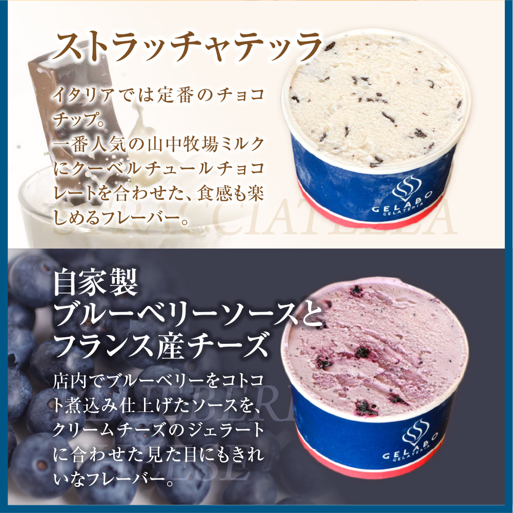 定番のおすすめジェラート6個セット