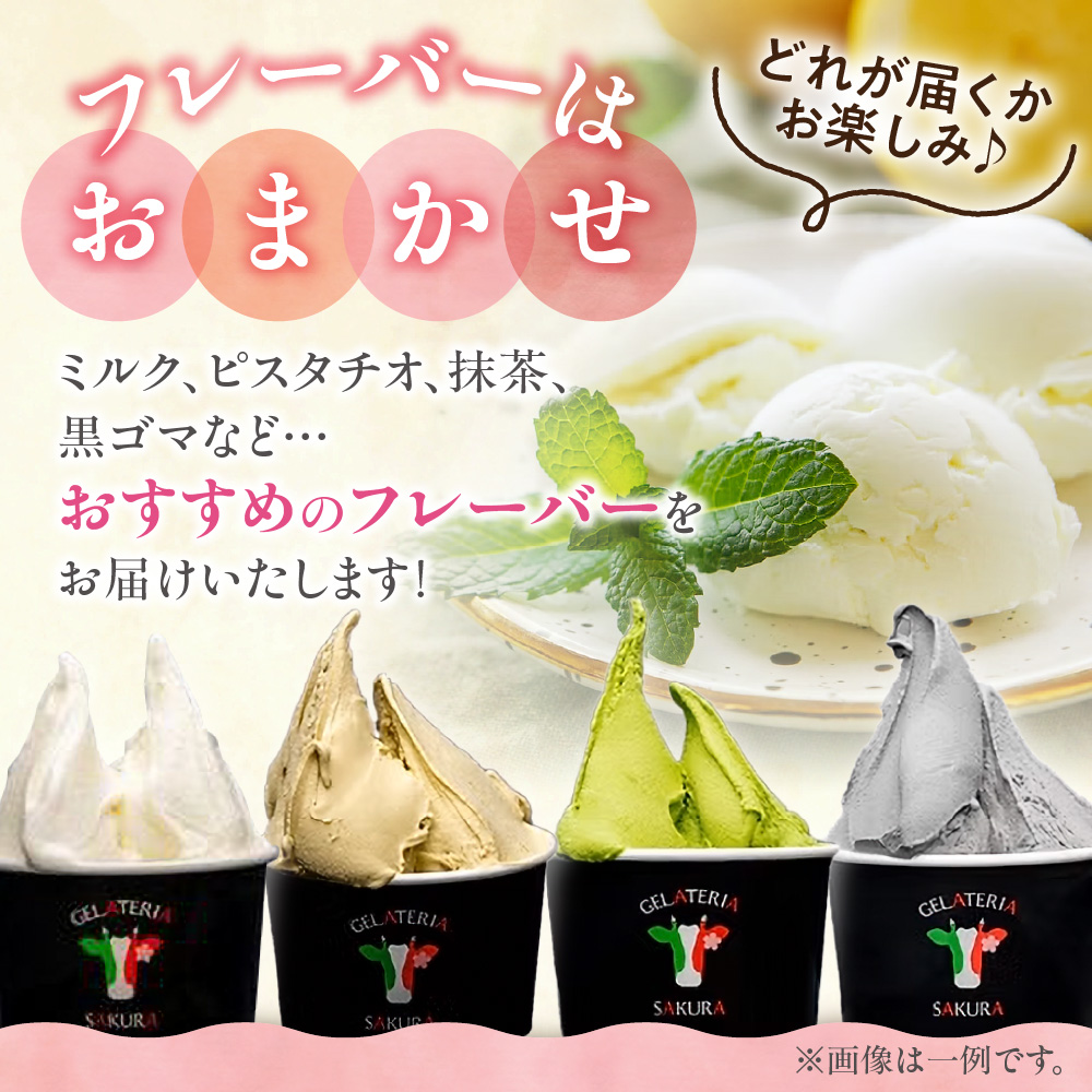 【定期便】幸せな牛のミルクからできたジェラート パティシエおまかせ12個セット×4回