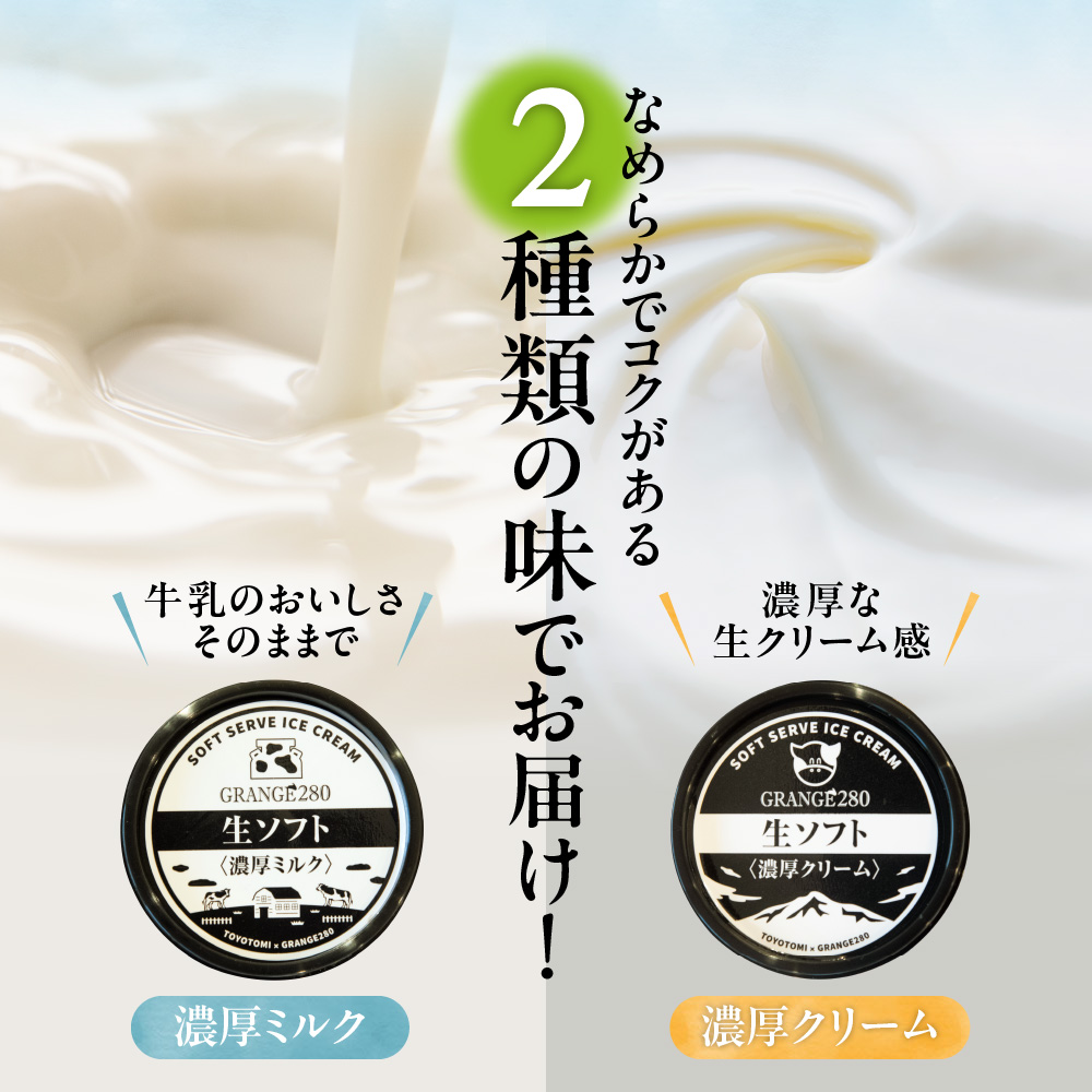 生ソフトクリームアイス2種類セット（濃厚クリーム・濃厚ミルク各5個）