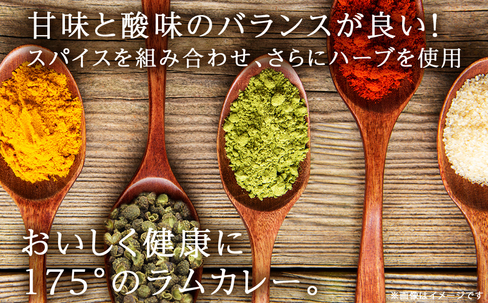 175DENOスパイスラムカレー 8袋（無水カレー180g×8）