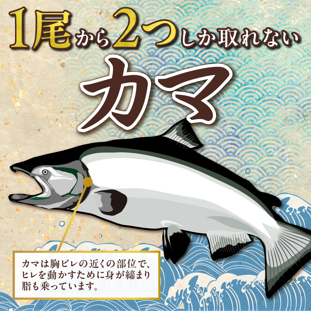 天然キングサーモンカマ