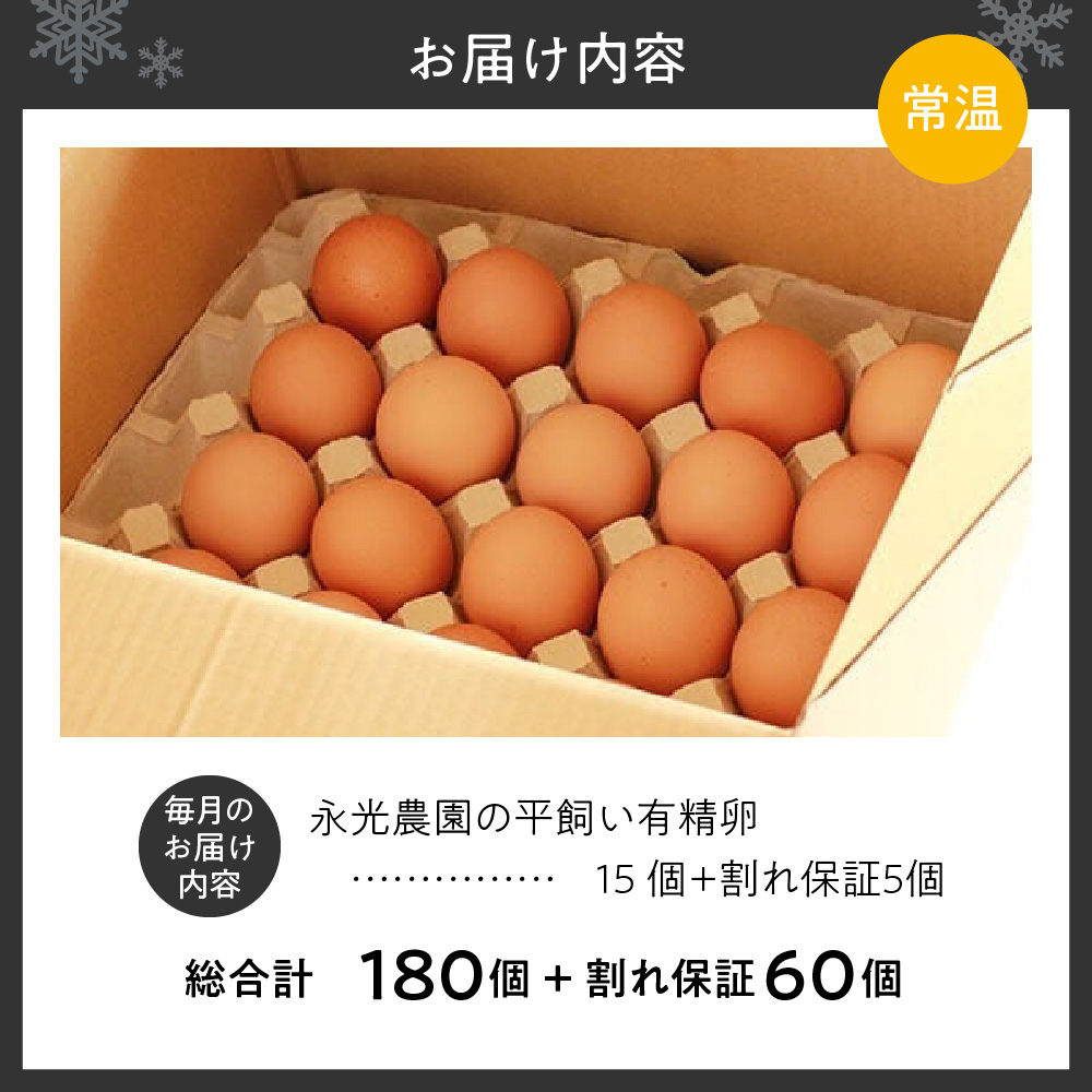 【12か月定期便】永光農園の平飼い有精卵　15個+割れ保証5個