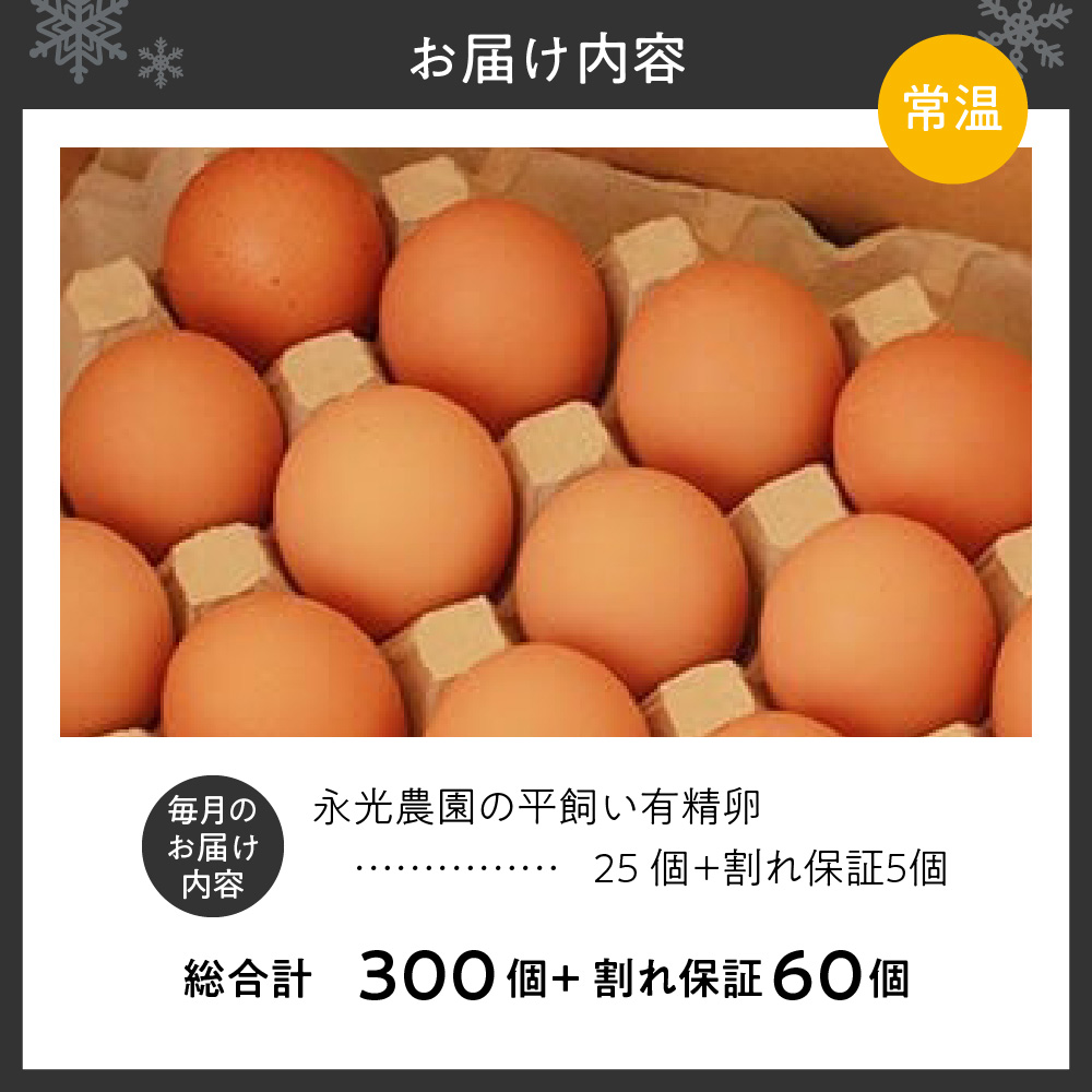 【12か月定期便】永光農園の平飼い有精卵　 25個+割れ保証5個
