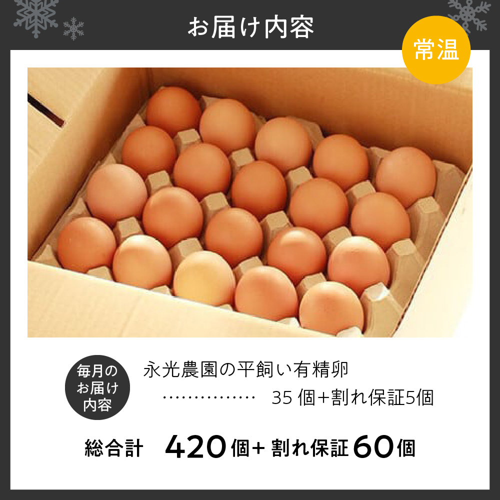 【12か月定期便】永光農園の平飼い有精卵　35個+割れ保証5個