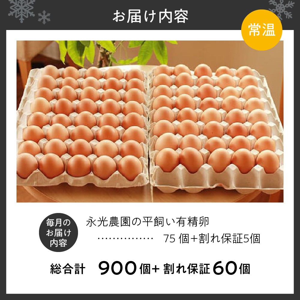 【12か月定期便】永光農園の平飼い有精卵　 75個+割れ保証5個