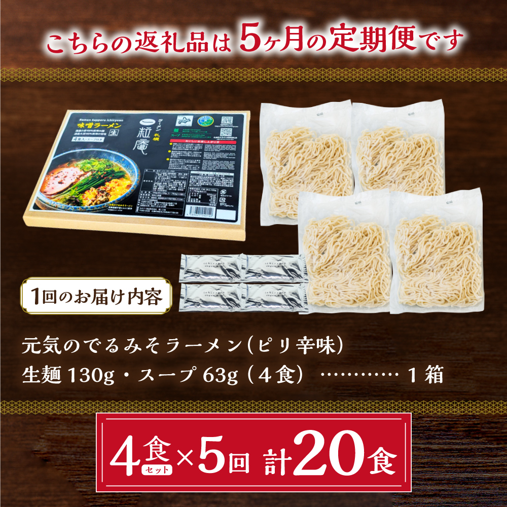 【5ヶ月定期便】ラーメン札幌一粒庵：元気のでるみそラーメン（ピリ辛味）生麺4食×5 回