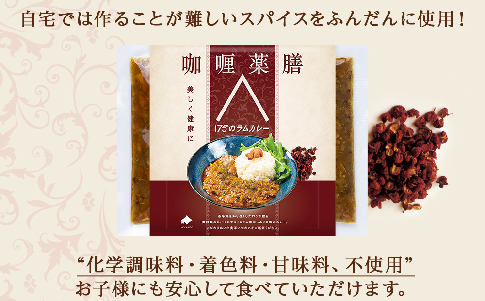 175DENOスパイスラムカレー 10袋（無水カレー180g×10）