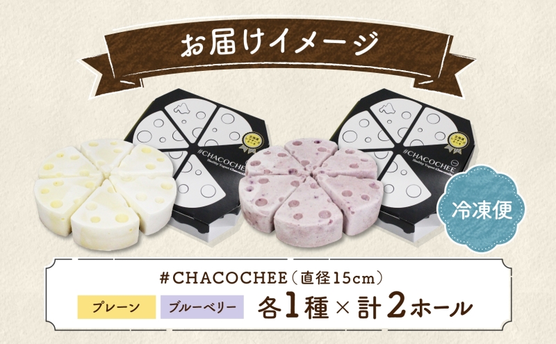 北海道 レアチーズケーキ 2種 セット プレーン ブルーベリー 計2ホール