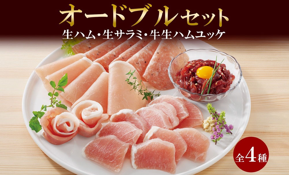 しばれ生ハム 4種 オードブル セット 生ハム サラミ ユッケ 豚肉 ブロック スライス 燻製 おつまみ パーティー 冷凍 ギフト バルナバハム バルナバフーズ 送料無料 北海道 札幌市